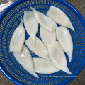 Top Quality Frozen Squid Tube Cleaned Calamari Tubes